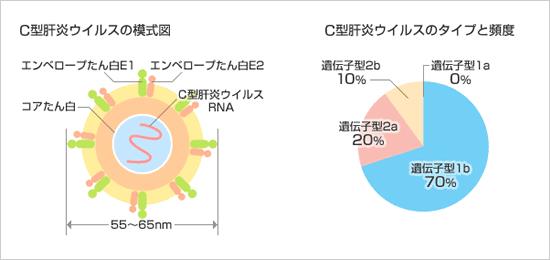 medicina 2015年 2月号 特集 ウイルス肝炎の薬物治療 変わりゆく治療戦略 DAA時代におけるC型肝炎の今後の治療戦略 林紀夫先生 | 川村内科診療所様